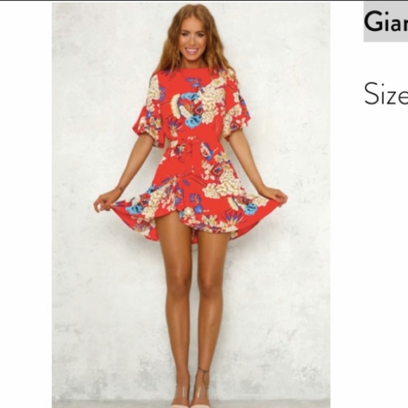 Hello Molly Dresses & Skirts - Hello Molly Red Mini Dress